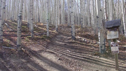 56-Mt_06-2